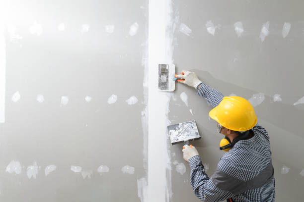 Professional Mold Removal in Beulaville, NC