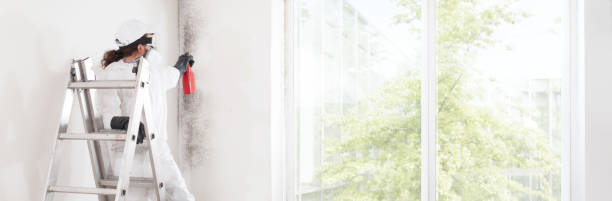 Best Mold-Related Health Consultation  in Beulaville, NC